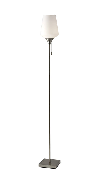 Adesso Home 4266-22 Floor Lamp, Brushed Steel