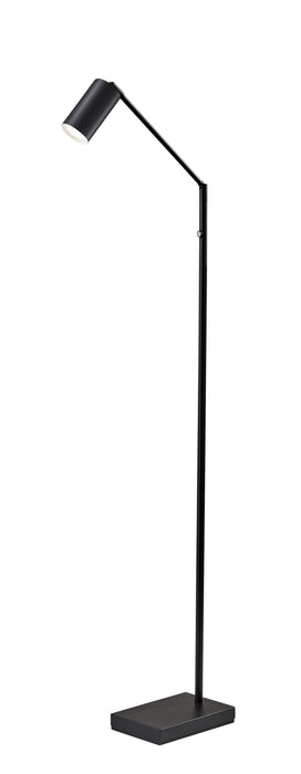 Adesso Home 4275-01 LED Floor Lamp, Black Painted