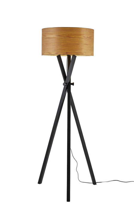 Adesso Home 6207-01 Floor Lamp, Black Oak Wood