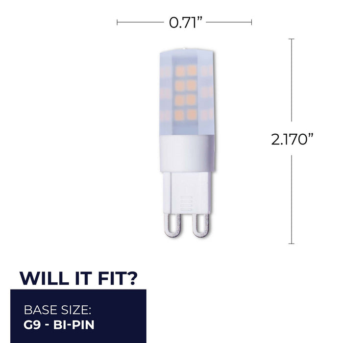 Bulbrite 770580 Light Bulb, Frost