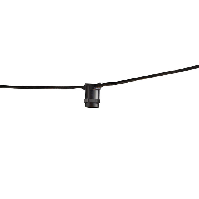 Bulbrite 810056 String Light, Black