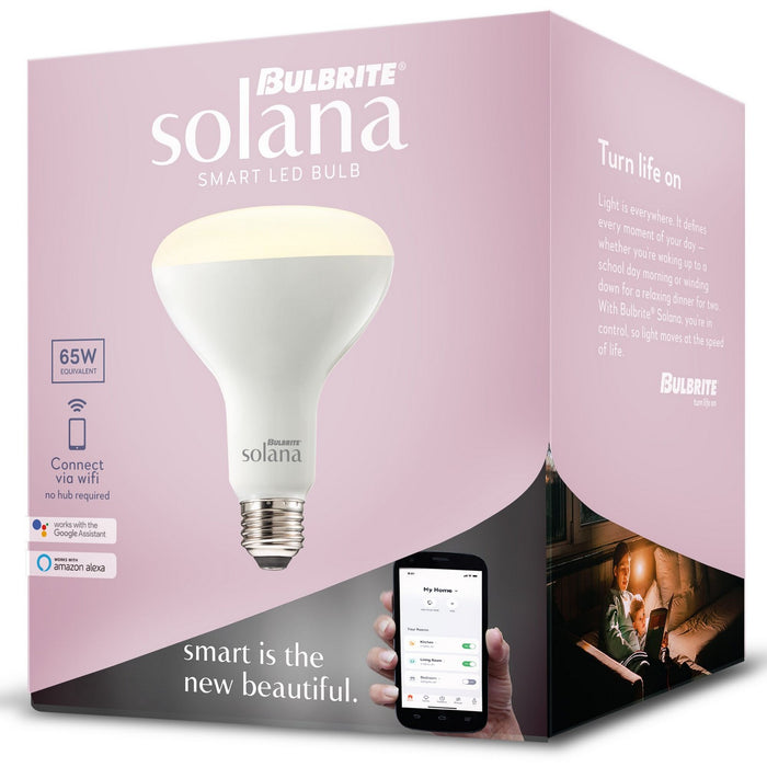 Bulbrite 196110 Light Bulb, Frost