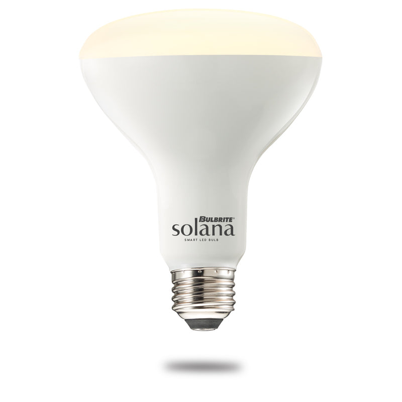 Bulbrite 196110 Light Bulb, Frost