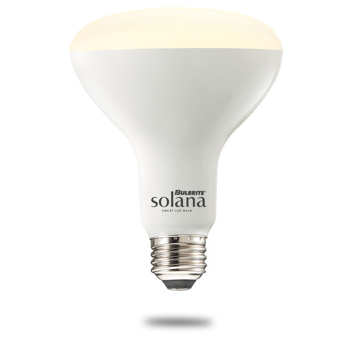 Bulbrite 196110 Light Bulb, Frost