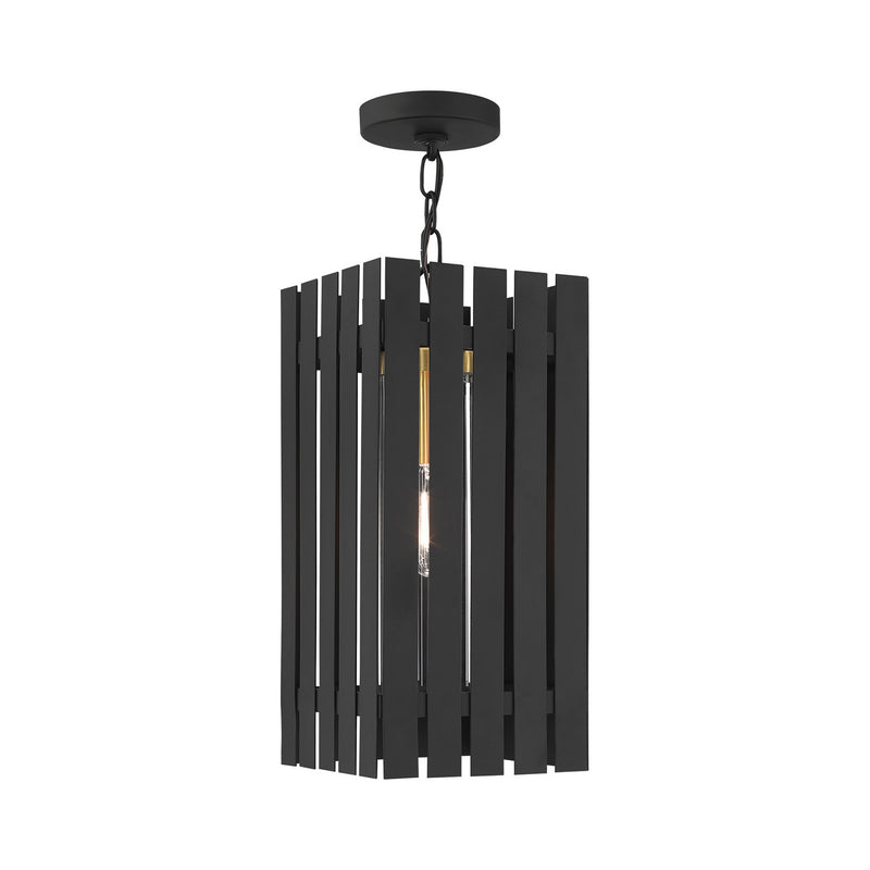 Livex Lighting 20757-04 One Light Outdoor Pendant, Black w/ Satin Brasss