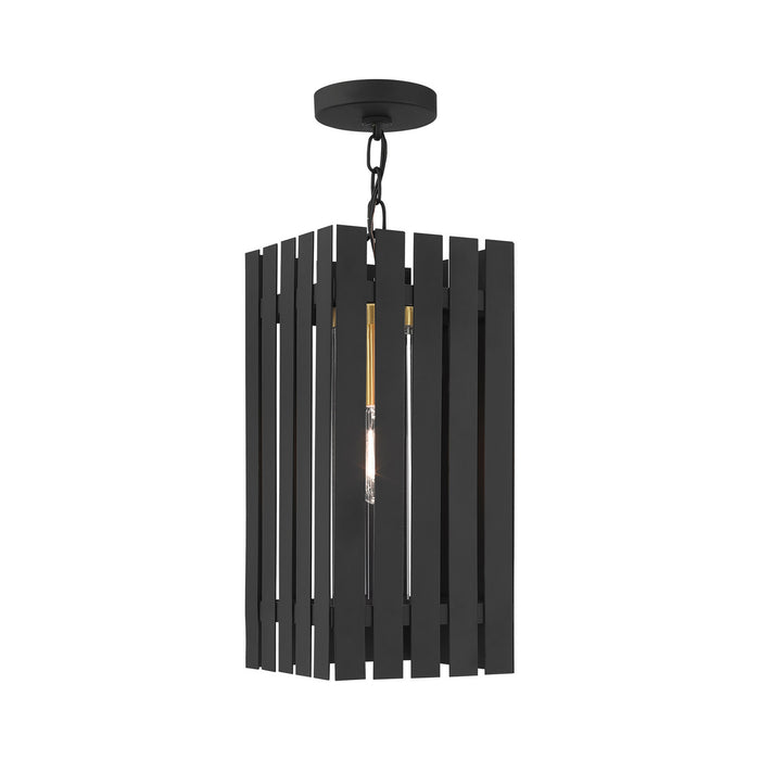 Livex Lighting 20757-04 One Light Outdoor Pendant, Black w/ Satin Brasss