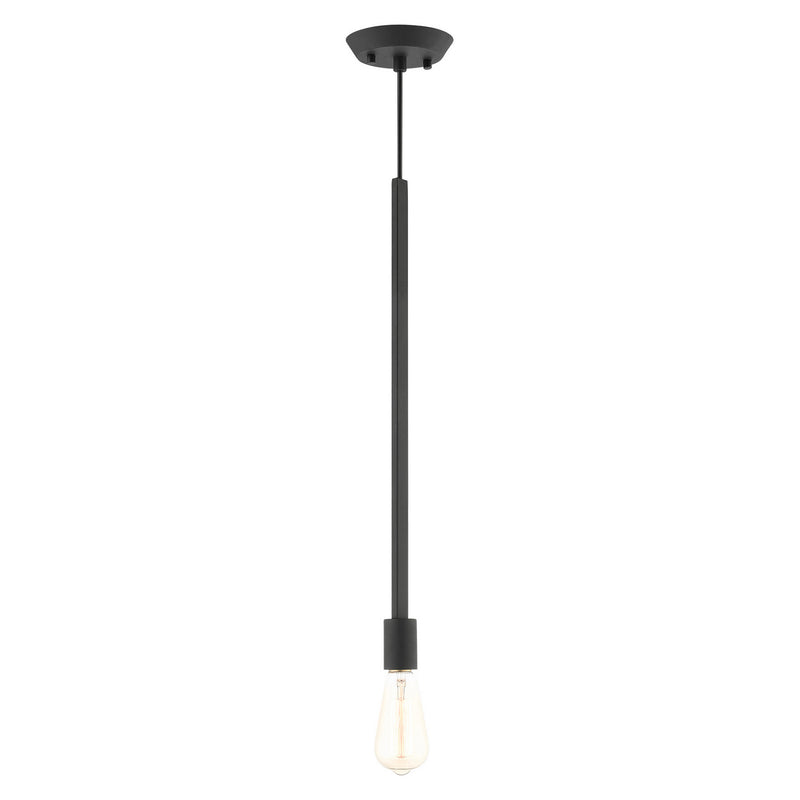 Livex Lighting 45831-04 One Light Pendant, Black