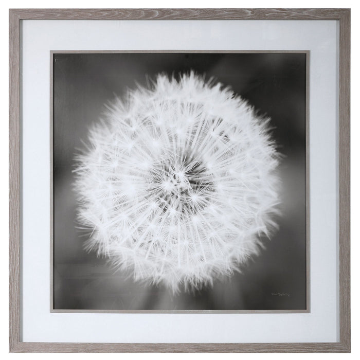 Uttermost 33711 Framed Print, Driftwood Look