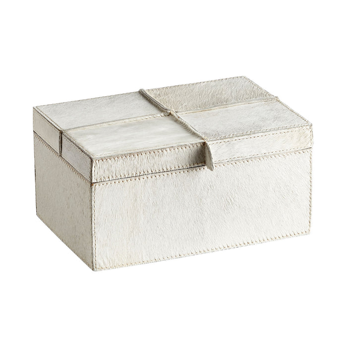 Cyan 10132 Container, Grey