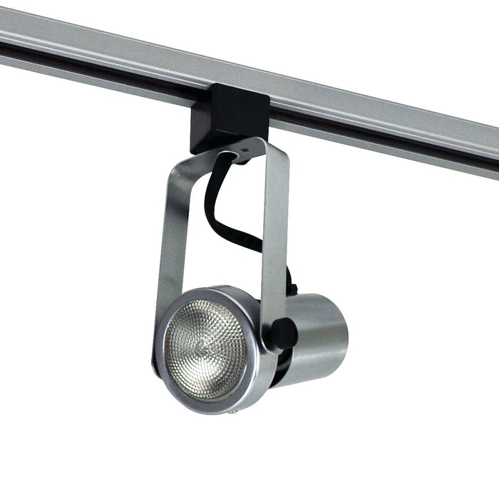 Nora Lighting NTH-112N/J Gimbal Par20 Natural "J" Adapt, Natural Metal