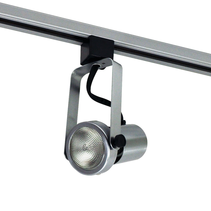 Nora Lighting NTH-112N/L Gimbal Par20 Natural "L" Adapt, Natural Metal