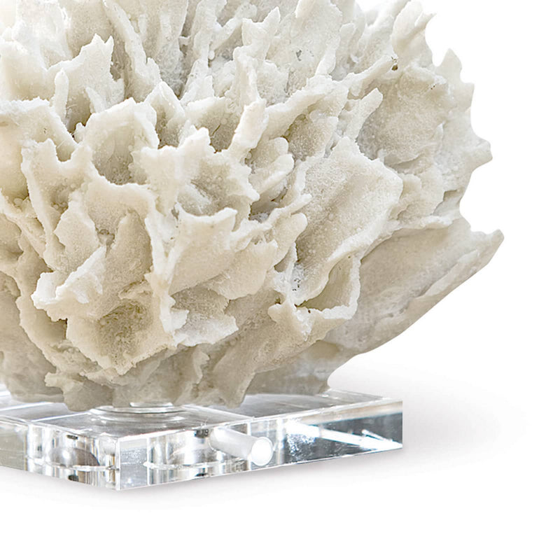 Regina Andrew 20-1022 Objet, White