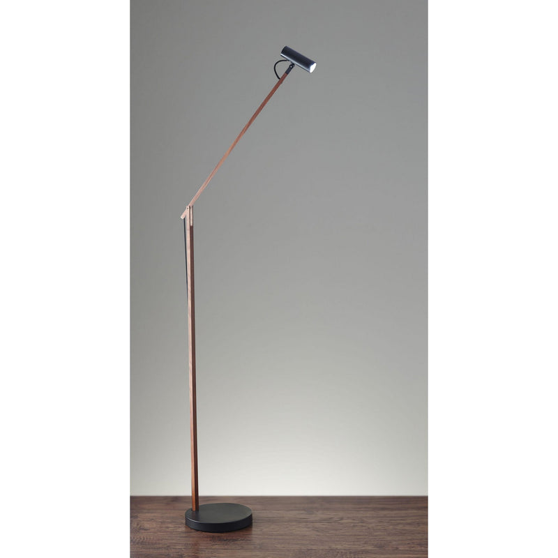 Adesso Home AD9101-15 LED Floor Lamp, Black