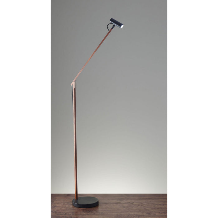 Adesso Home AD9101-15 LED Floor Lamp, Black