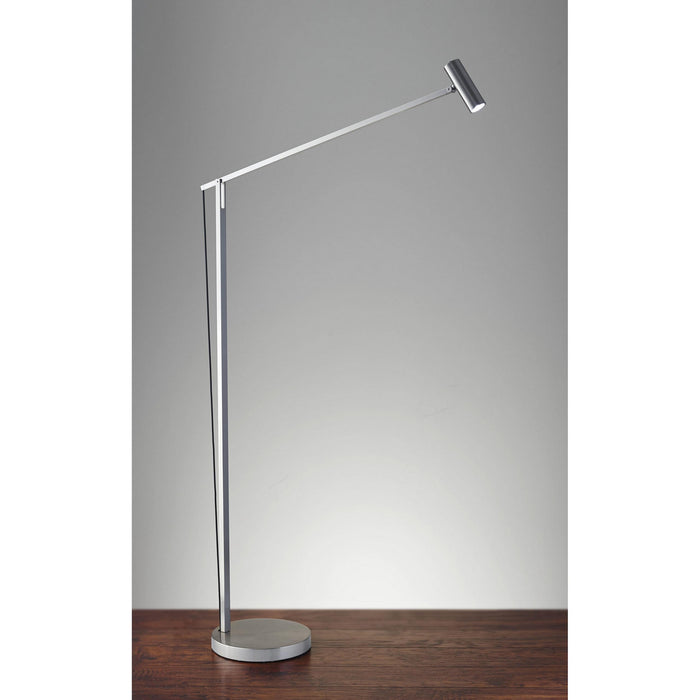 Adesso Home AD9101-22 LED Floor Lamp, Brushed Steel