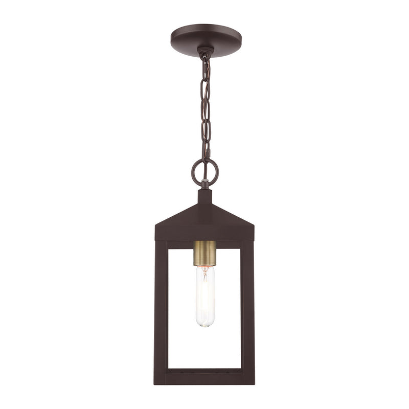Livex Lighting 20591-07 One Light Outdoor Pendant, Bronze w/ Antique Brass Cluster