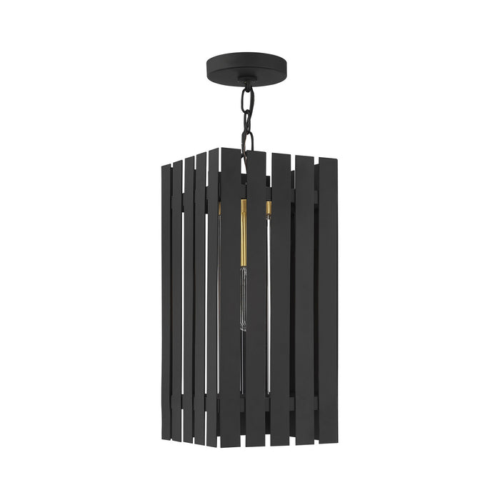 Livex Lighting 20757-04 One Light Outdoor Pendant, Black w/ Satin Brasss