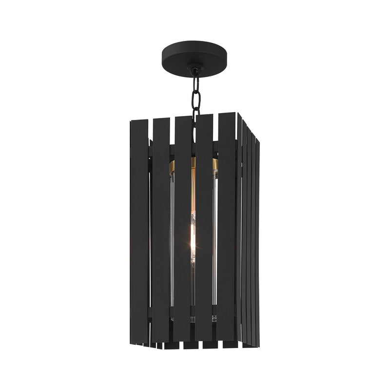 Livex Lighting 20757-04 One Light Outdoor Pendant, Black w/ Satin Brasss