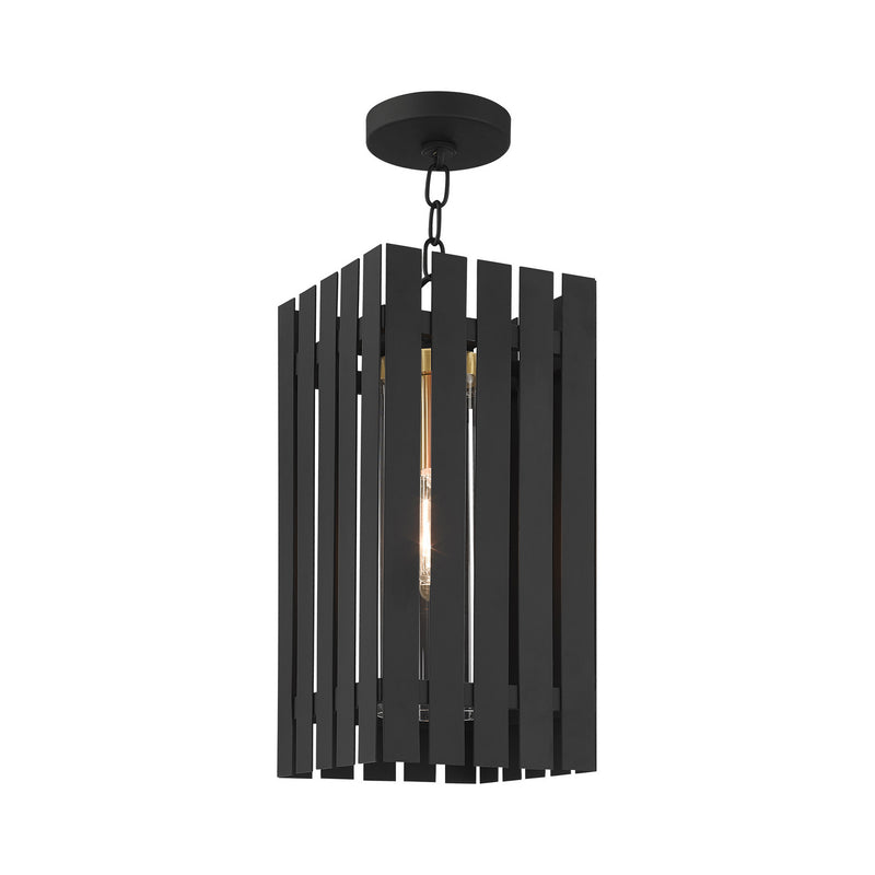 Livex Lighting 20757-04 One Light Outdoor Pendant, Black w/ Satin Brasss