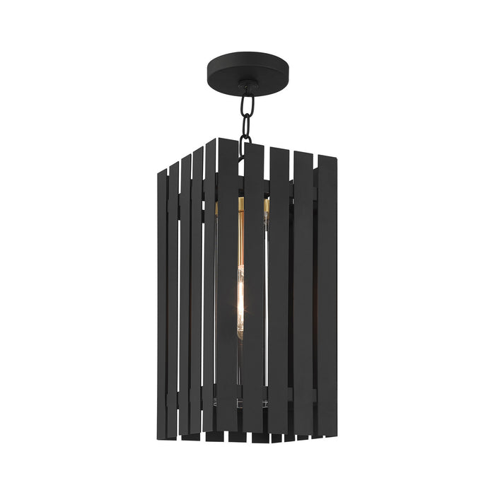 Livex Lighting 20757-04 One Light Outdoor Pendant, Black w/ Satin Brasss