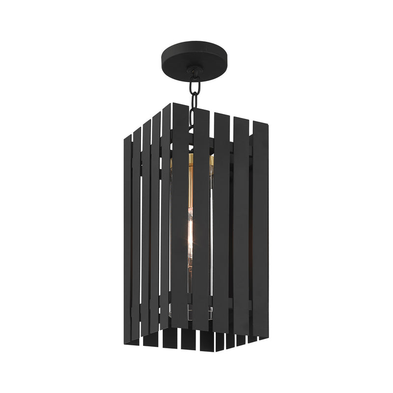 Livex Lighting 20757-04 One Light Outdoor Pendant, Black w/ Satin Brasss
