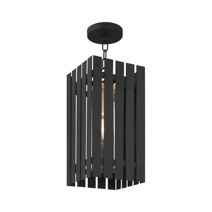 Livex Lighting 20757-04 One Light Outdoor Pendant, Black w/ Satin Brasss