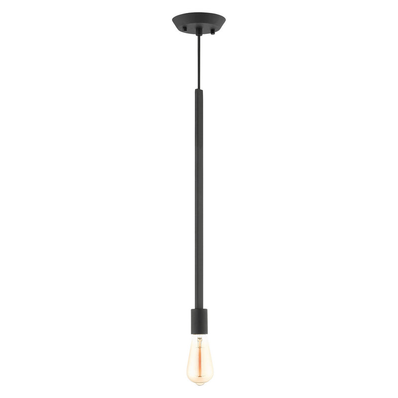 Livex Lighting 45831-04 One Light Pendant, Black