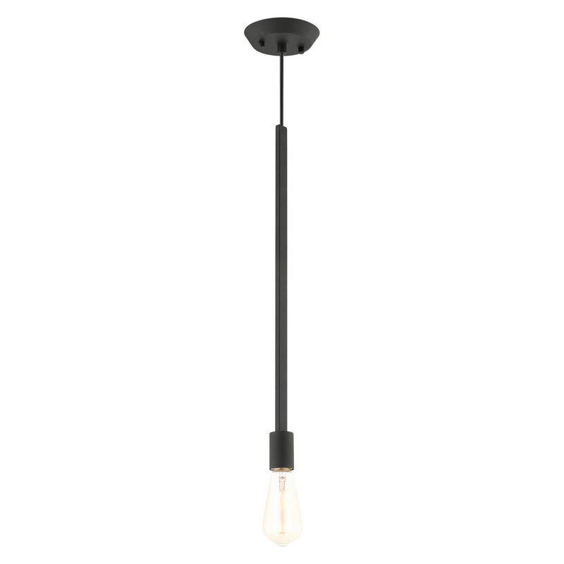 Livex Lighting 45831-04 One Light Pendant, Black