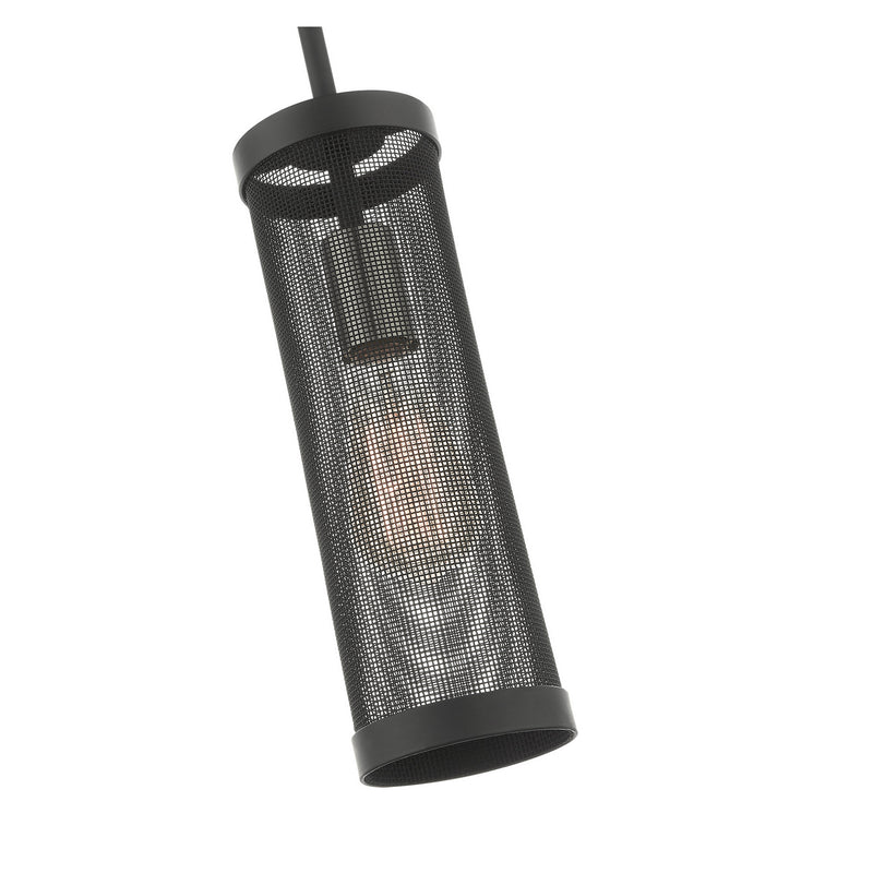 Livex Lighting 46211-04 One Light Pendant, Black w/ Brushed Nickels