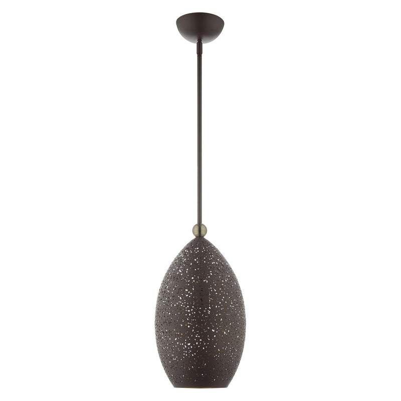 Livex Lighting 49182-07 One Light Pendant, Bronze w/ Antique Brasss