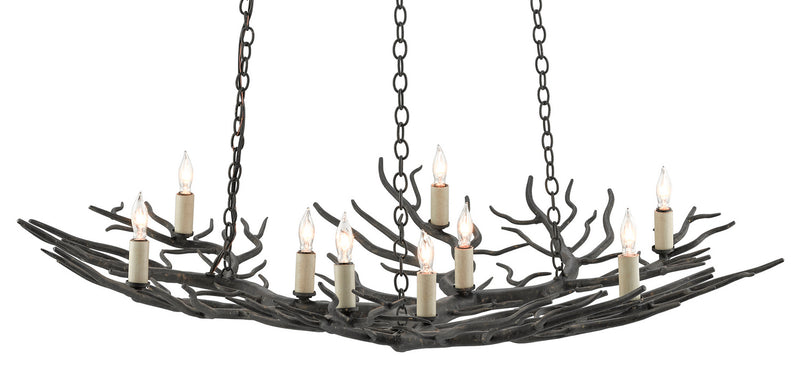 Currey and Company 9000-0555 Nine Light Chandelier, Rustic Bronze