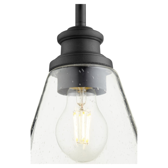 Quorum 309-69 One Light Pendant, Textured Black