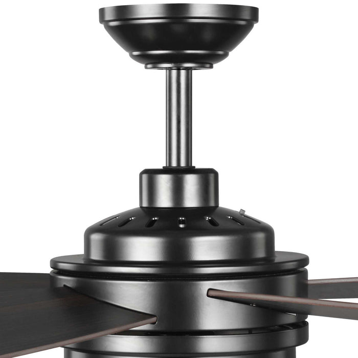 Progress Lighting P250036-031-30 54" Ceiling Fan, Black
