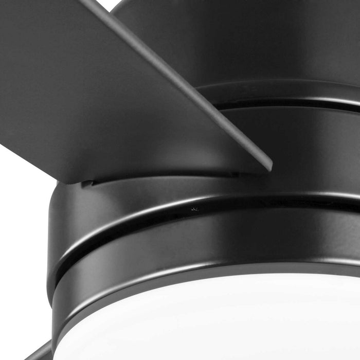 Progress Lighting P2555-3130K 44" Ceiling Fan, Black
