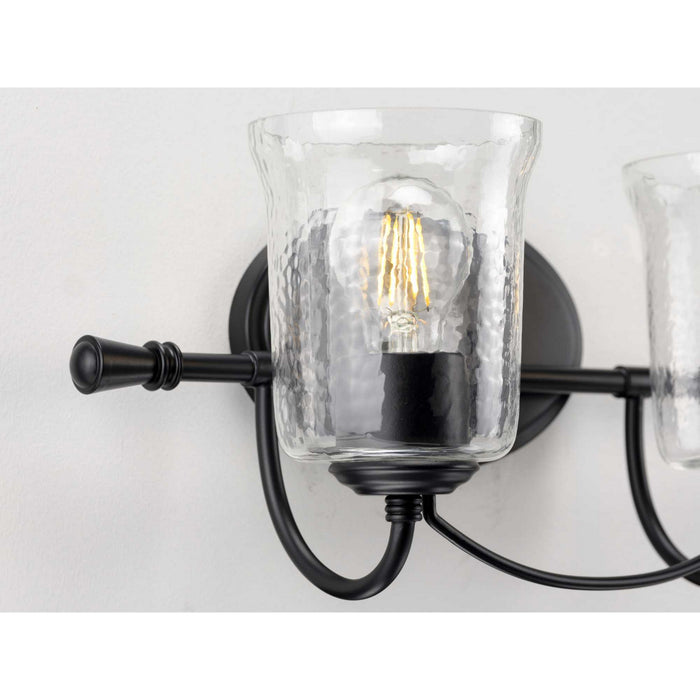 Progress Lighting P300254-031 Two Light Bath, Black
