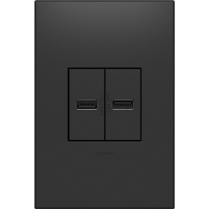Legrand ARUSBG4 Usb Outlet, Half-Size, Graphite