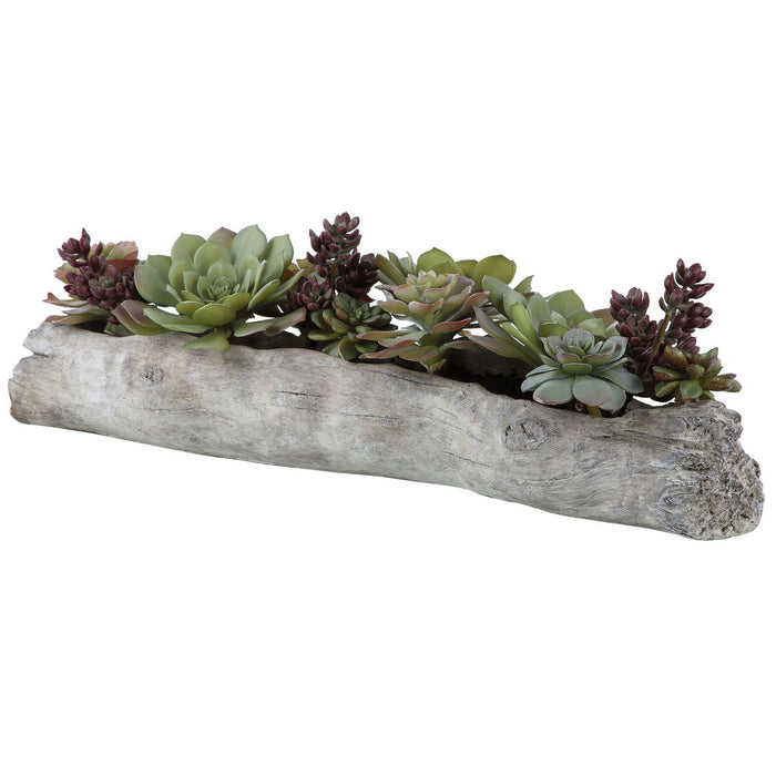 Uttermost 60174 Succulents, Greens And Burgundy