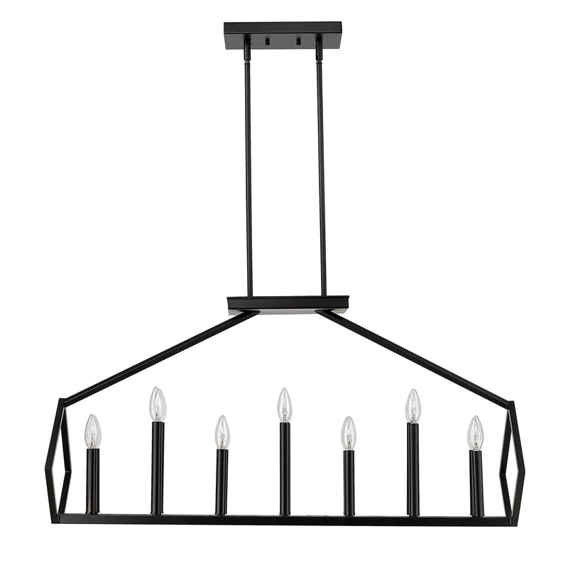 Acclaim Lighting IN20010BK 14 Light Island Pendant, Matte Black