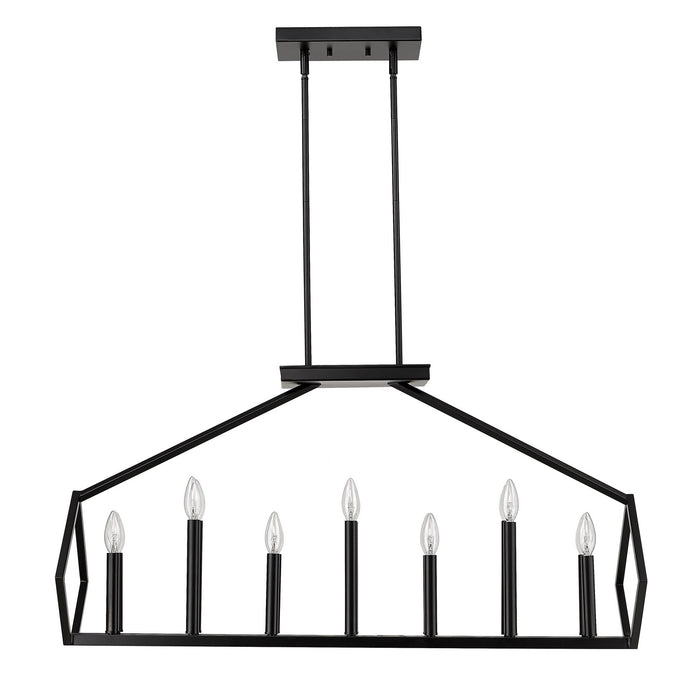 Acclaim Lighting IN20010BK 14 Light Island Pendant, Matte Black
