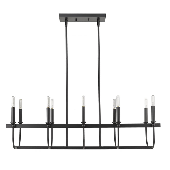 Acclaim Lighting IN20031BK Ten Light Island Pendant, Matte Black