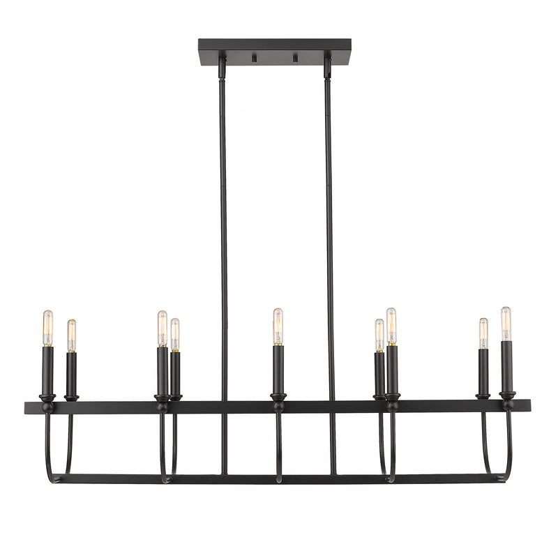Acclaim Lighting IN20031BK Ten Light Island Pendant, Matte Black