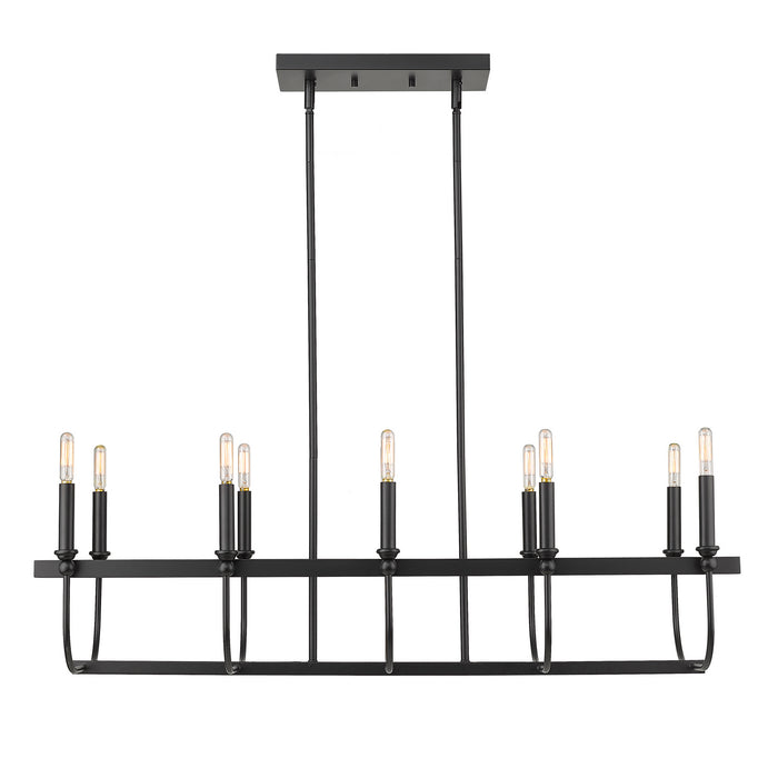 Acclaim Lighting IN20031BK Ten Light Island Pendant, Matte Black