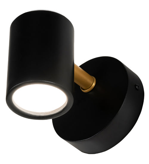 Meyda Tiffany 227971 LED Wall Sconce, Flat Black And Goldtastic