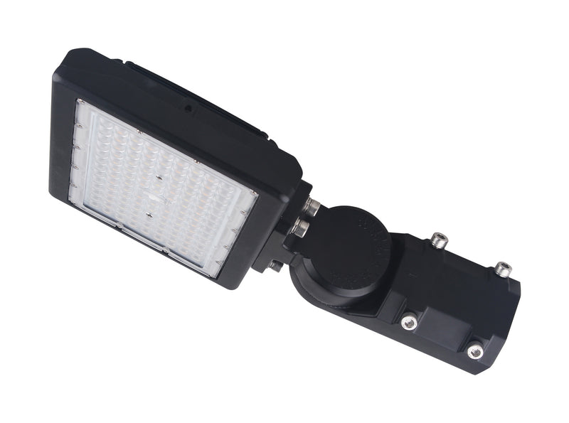 Nuvo Lighting 65-617 LED Flood Light, Bronze