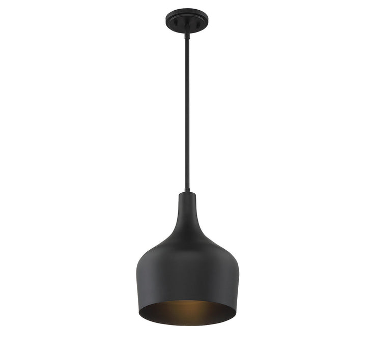 Meridian M70020MBK One Light Pendant, Matte Black
