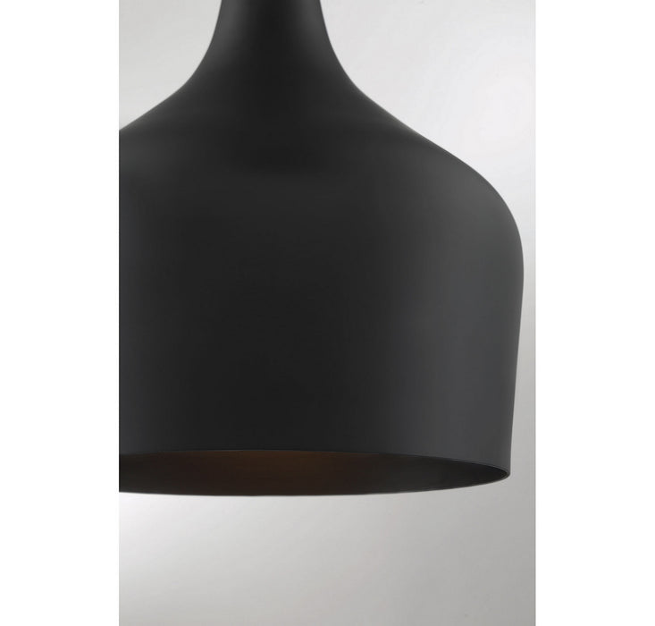 Meridian M70020MBK One Light Pendant, Matte Black