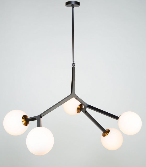 Artcraft AC10975VB Five Light Pendant, Black & Harvest Brass
