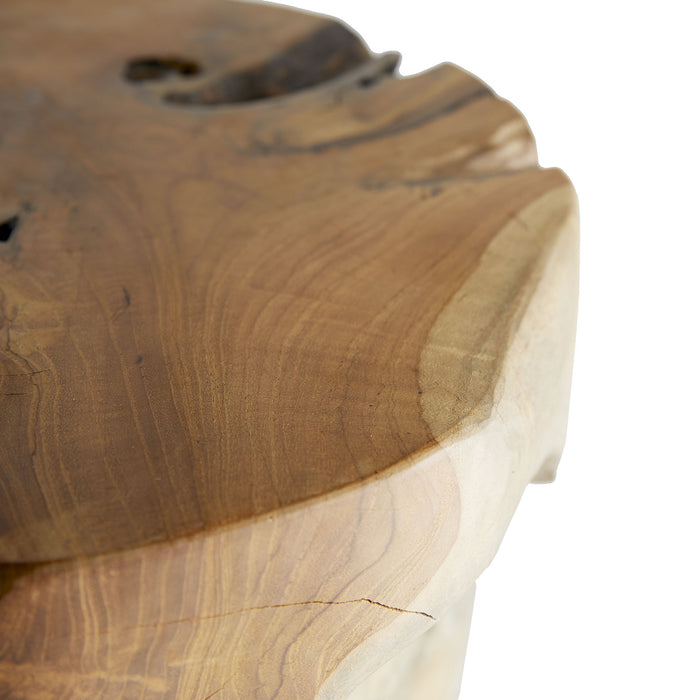Arteriors 5588 Accent Table, Natural