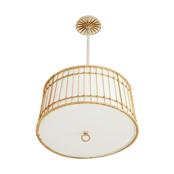 Arteriors DW49001 Four Light Island Pendant, Natural