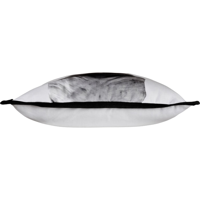 Renwil PWFL1292 Home Accents - Blankets/Throws